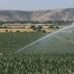 kαμπανάκι-από-τους-επιστήμονες:-«Στη-Θεσσαλία-η-στάθμη-του-υδροφόρου-ορίζοντα-κατεβαίνει-κάθε-χρόνο»