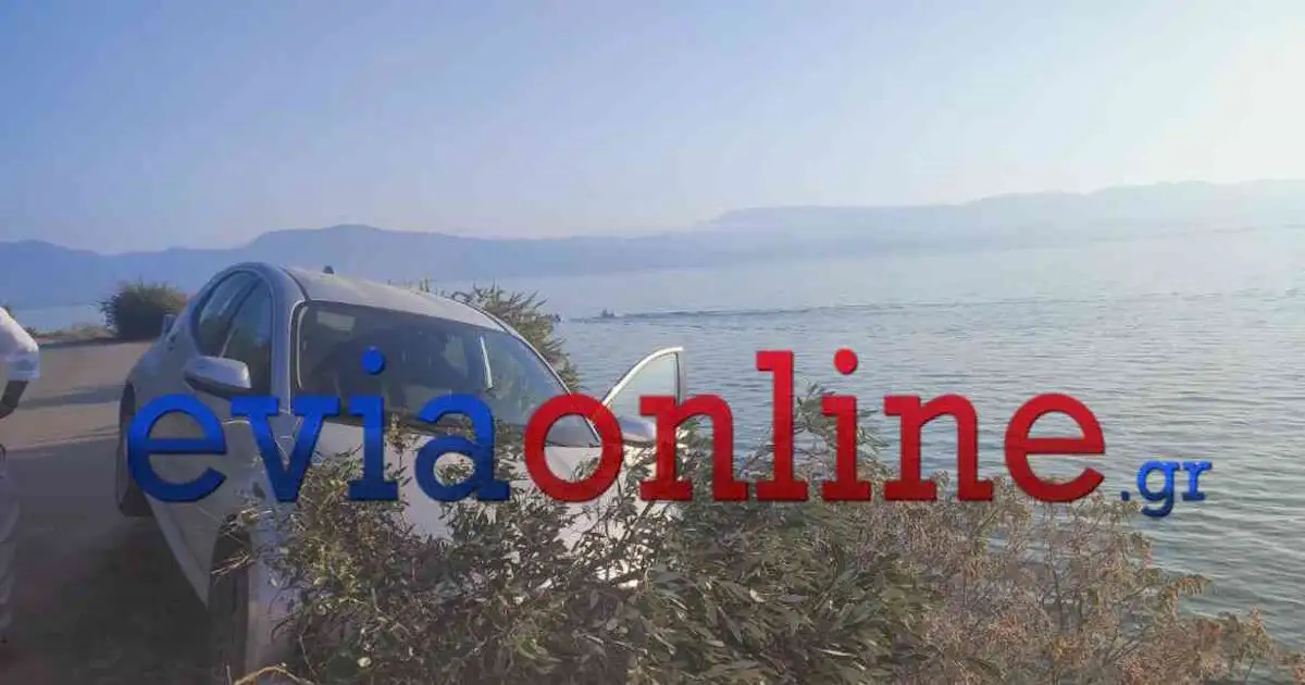 Εύβοια:-22χρονος-έπεσε-από-γκρεμό-15-μέτρων-μετά-από-τροχαίο-–-Υπέστη-τραύματα-στο-κεφάλι