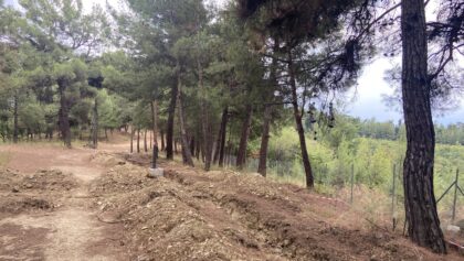 Τρίκαλα:-Απαγορεύεται-η-είσοδος-στα-δάση-το-Σάββατο