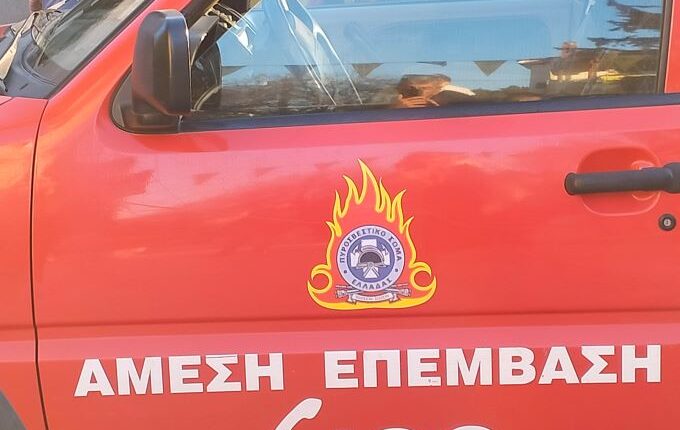 Πυρκαγιά-από-κεραυνό-σε-δύσβατη-περιοχή-στο-Δροσοχώρι-Τρικάλων-–-Κινητοποίηση-της-Πυροσβεστικής