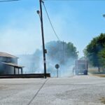 Τρίκαλα:-Φωτιά-στην-είσοδο-του-Λόγγου-–-Αποφεύχθηκαν-τα-χειρότερα