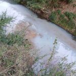Τρίκαλα:-Καταγγελία-για-τυρόγαλο-στον-Ληθαίο