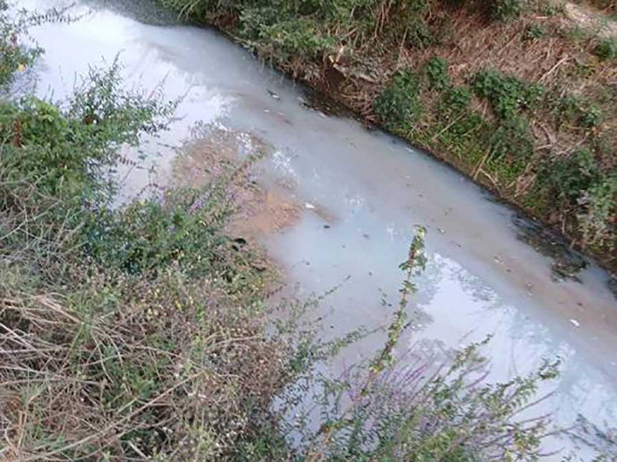 Τρίκαλα:-Καταγγελία-για-τυρόγαλο-στον-Ληθαίο