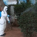 Ιός-του-Δυτικού-Νείλου:-Στο-επίκεντρο-Θεσσαλία-και-Αττική-–-“Ιδιαίτερη-προσοχή-έως-το-τέλος-Σεπτεμβρίου”