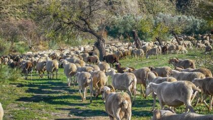 Επιπλέον-12,5-εκατ.-ευρώ-για-τις-Περιφέρειες
