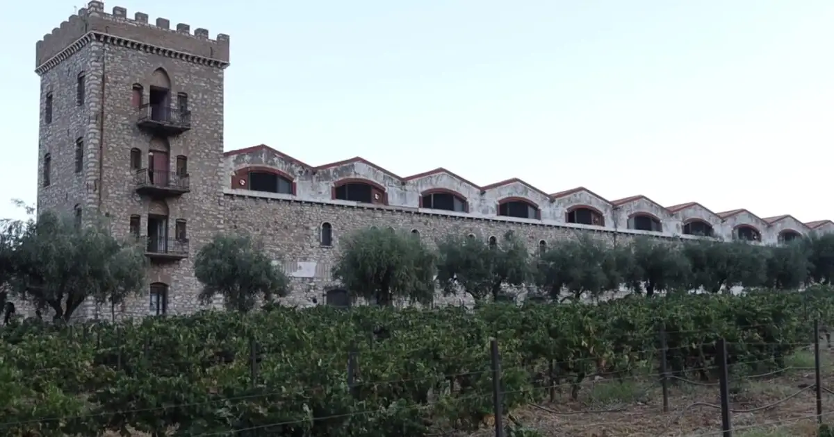 achaia-clauss:-Άνοιξε-τις-πύλες-του-για-τον-«Ανοιχτό-Τρύγο»-14-ημέρες-μετά-την-φωτιά-–-Το-άλογο-και-το-πρώτο-γλυκό-κρασί