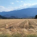 Παράνοια:-Δάνειο-5000e-έφτασε-55.000e-–-Της-το-«κούρεψαν»-90%,-αλλά-η-ΑΑΔΕ-της-δέσμευσε-τα-χρήματα-της-αποπληρωμής