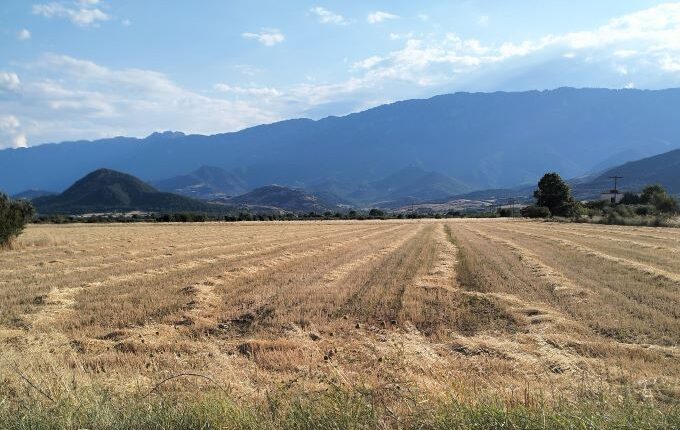 Παράνοια:-Δάνειο-5000e-έφτασε-55.000e-–-Της-το-«κούρεψαν»-90%,-αλλά-η-ΑΑΔΕ-της-δέσμευσε-τα-χρήματα-της-αποπληρωμής