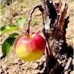 Γερνάω…δημιουργώντας