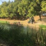Συνεχής-φροντίδα-και-μέριμνα-για-το-πράσινο-των-Τρικάλων