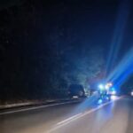 Αυτοκίνητα-συγκρούστηκαν-με-αγριογούρουνα-στο-δρόμο-Τυρνάβου-–-Λάρισας